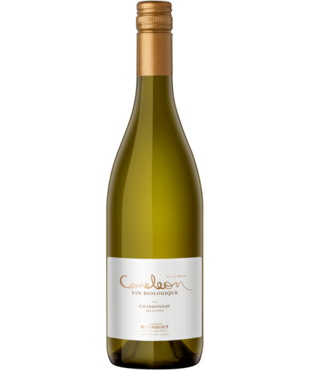 CAMELEON CHARDONNAY BIO - MENDOZA - Jean Bousquet