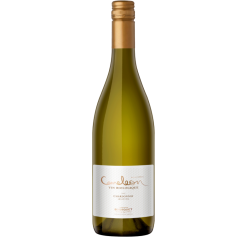 CAMELEON CHARDONNAY BIO - MENDOZA - Jean Bousquet